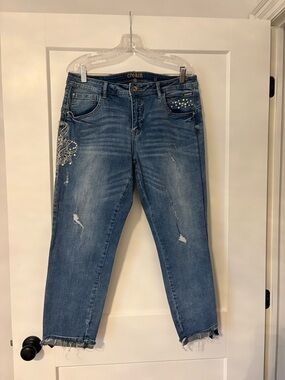 Cream Embellished Blue Cropped Jeans with Frayed Hem